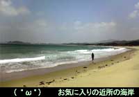 福岡でSOHOが成り立つのは大自然のお陰です